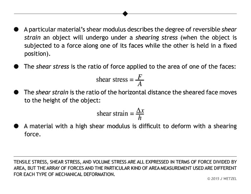 Shear modulus main points