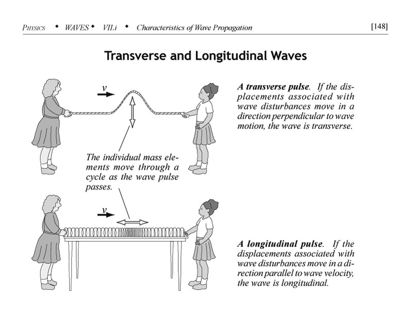 Transverse and longitudinal waves