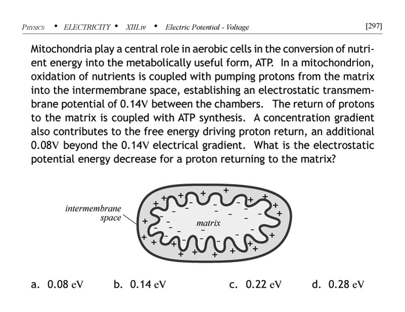 Mitochondria electrostatic potential