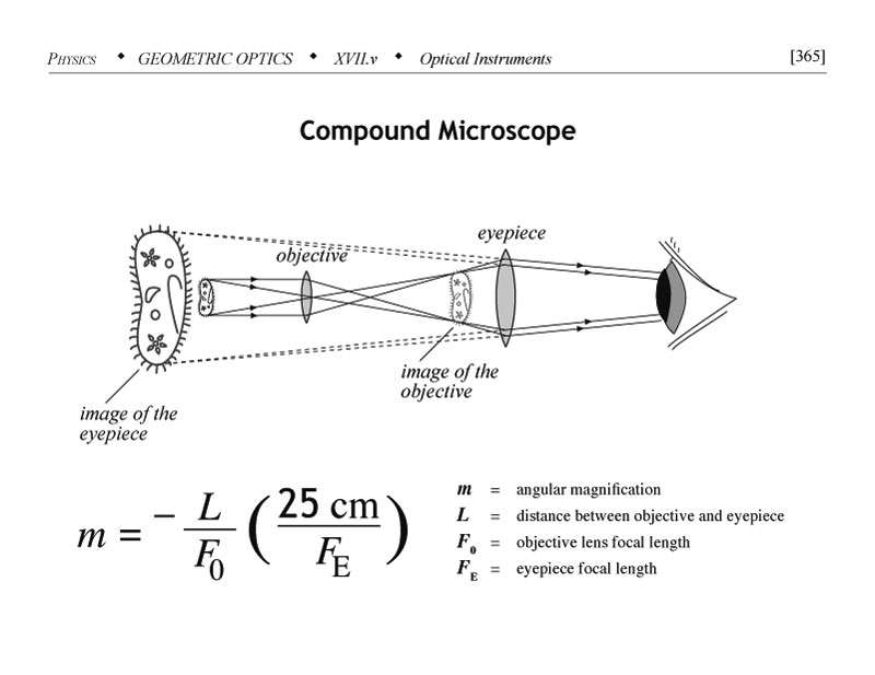 Compound microscope diagram in the context of geometric optics