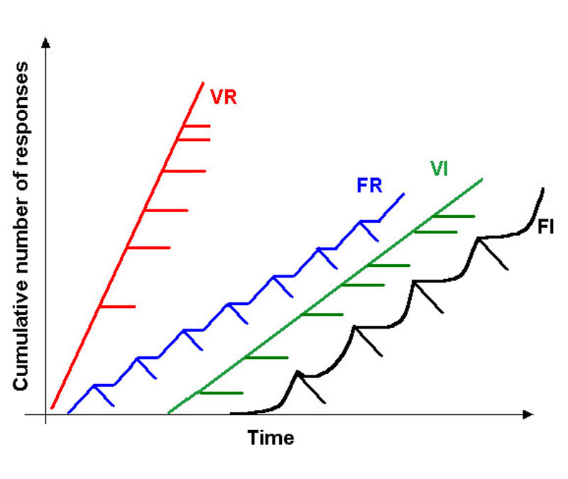 A chart demonstrating the different response rate of the four simple schedules of reinforcement, each hatch mark designates a reinforcer being given