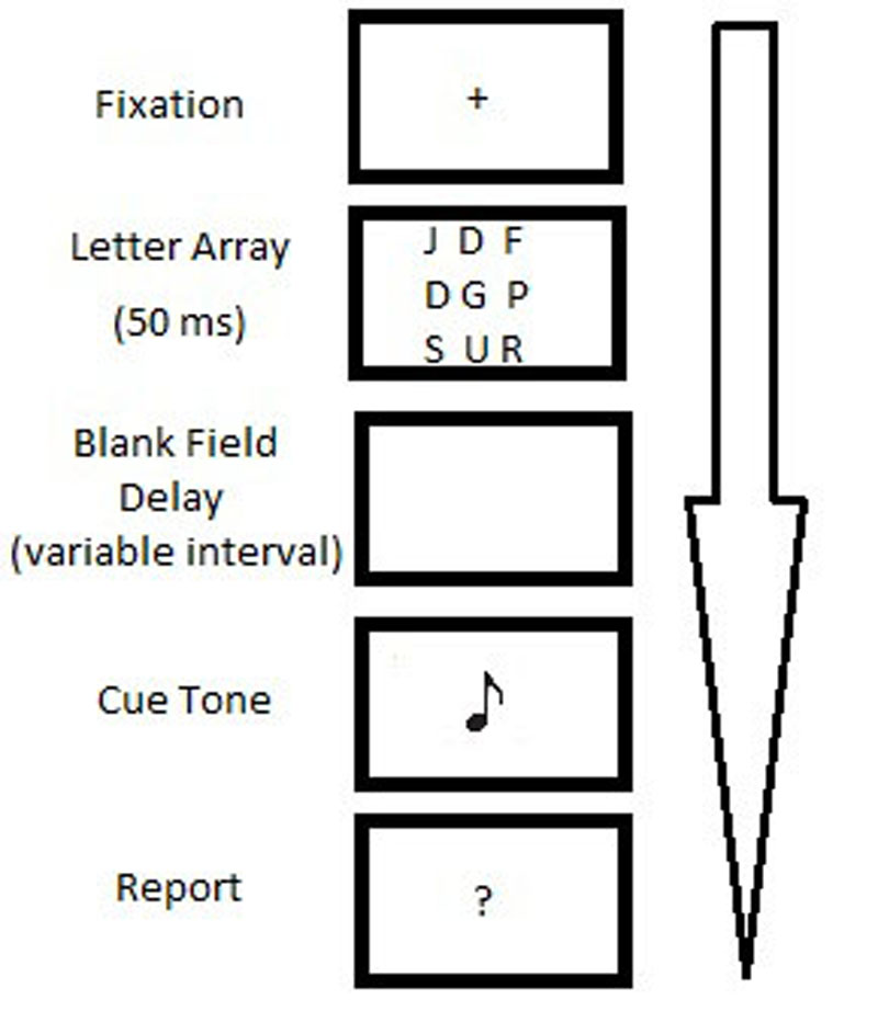 types-of-memory-integrated-mcat-course