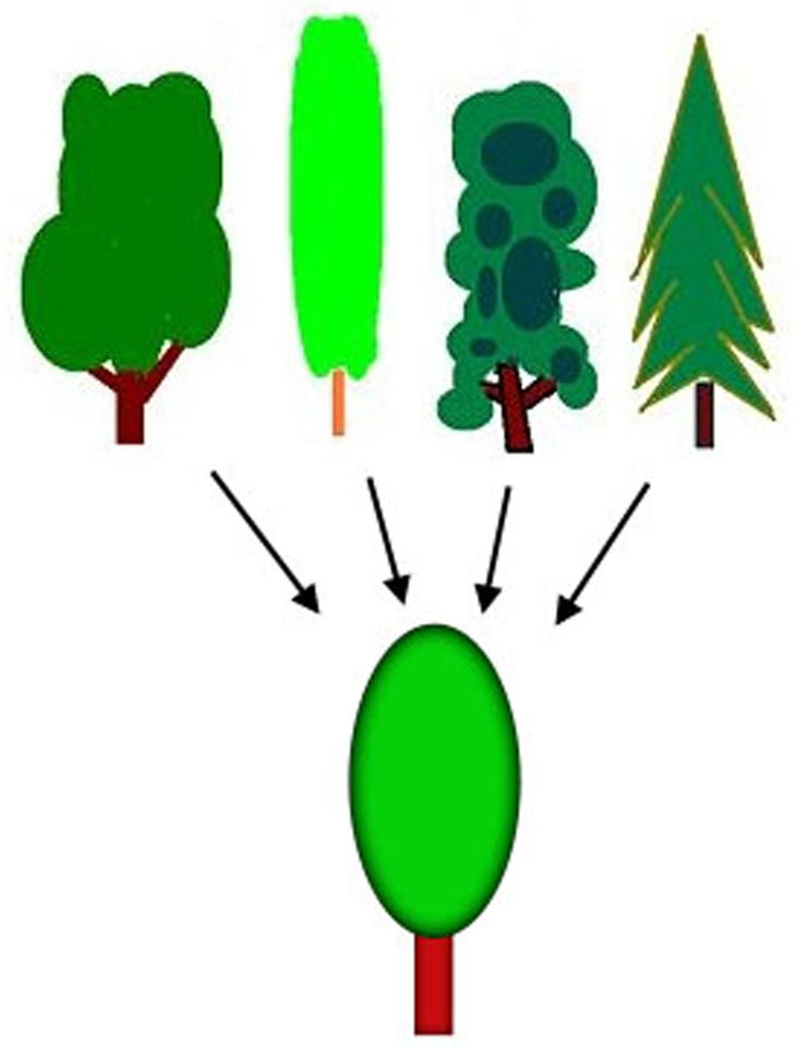 A diagram illustrating graphically the generalization process, using trees. When the mind makes a generalization such as the concept of tree, it extracts similarities from numerous examples; the simplification enables higher-level thinking.