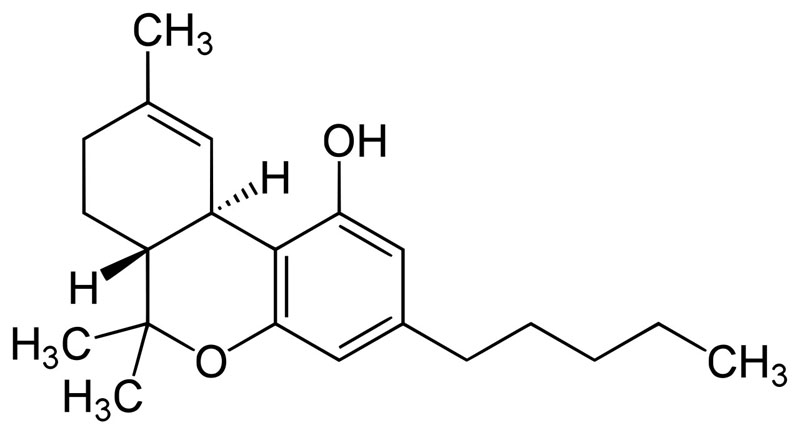 Possible physical effects of lysergic acid diethylamide (LSD).