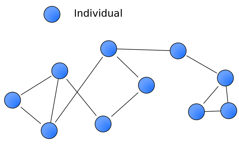 Self-organization of a network