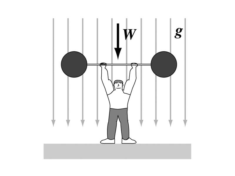 Weightlifter lifting weight within uniform gravitational field.