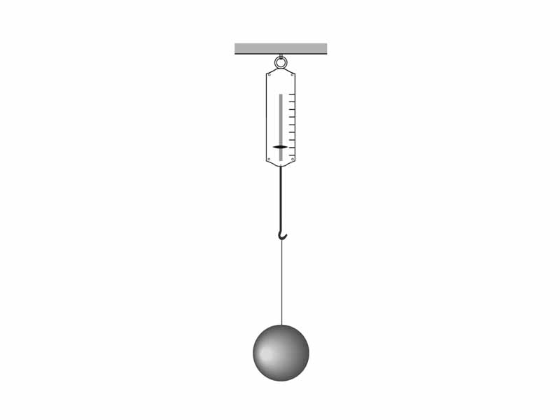 Sphere suspended by spring scale