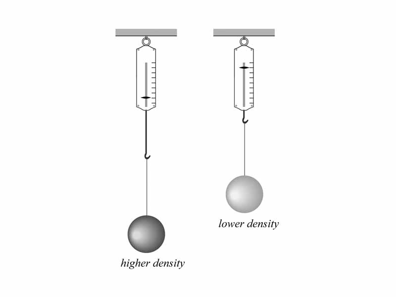 Two spheres of different densities suspended by spring scales