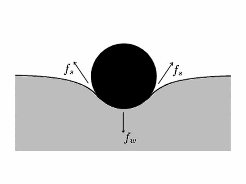 Illustrative diagram of surface tension forces on a needle floating on the surface of water (shown in crossection).