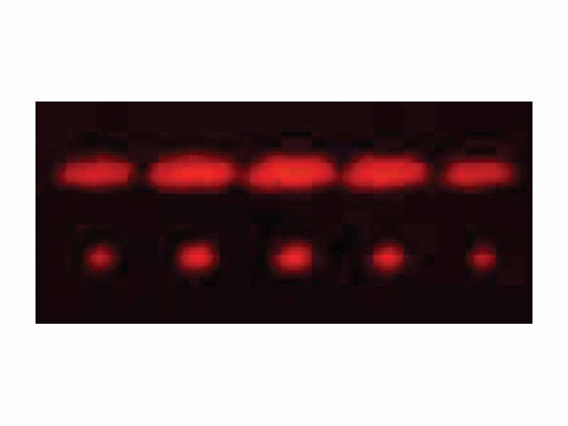 2-slit and 5-slit diffraction of red laser light