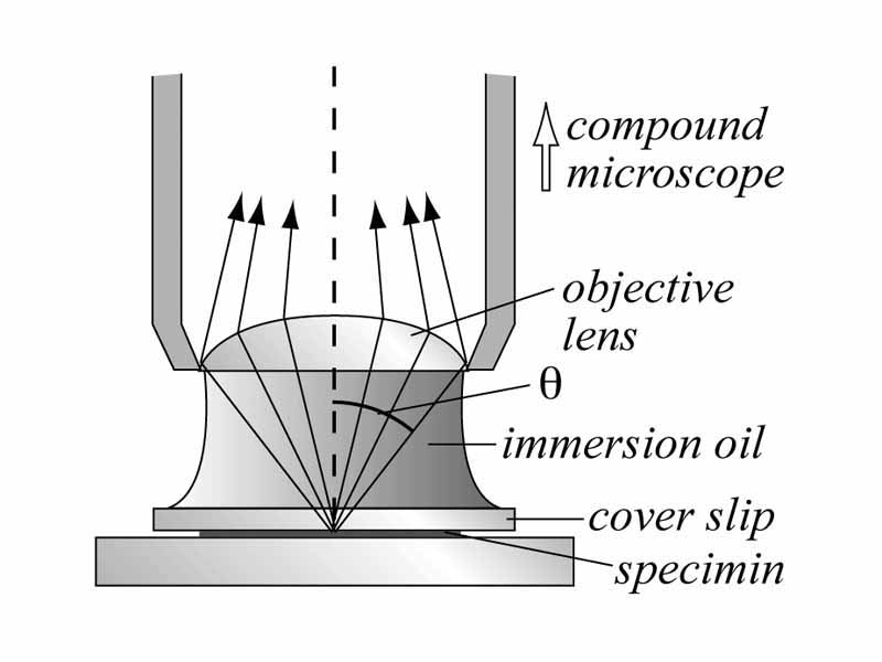 Microscope illustration for diffraction problem