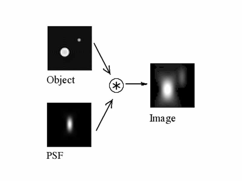Image formation in a confocal microscope: central longitudinal (XZ) slice. The 3D acquired distribution arises from the convolution of the real light sources with the PSF.