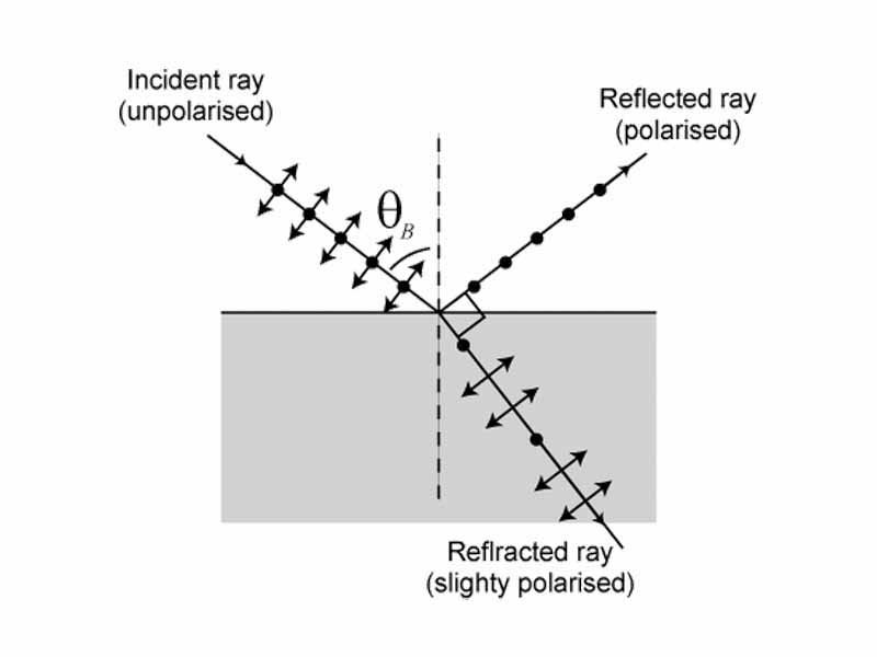 An illustration of the polarization of light which is incident on an interface at Brewster's angle.