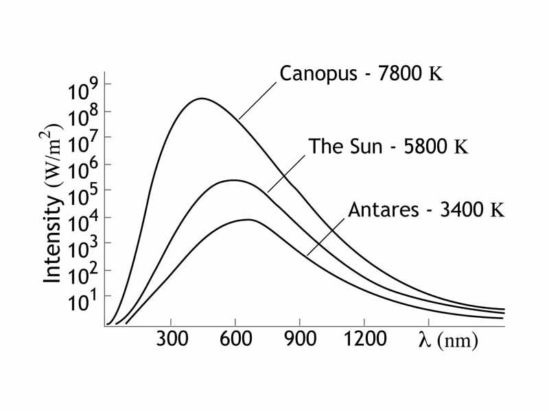 Graph of intensity versus wavelength for various stars