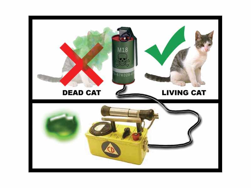 Schrödinger's Cat: When the nucleus (bottom left) decays, the Geiger counter (bottom centre) may sense it and trigger the release of the gas. In one hour, there is a 50% chance that the nucleus will decay, the gas will be released and the cat killed.