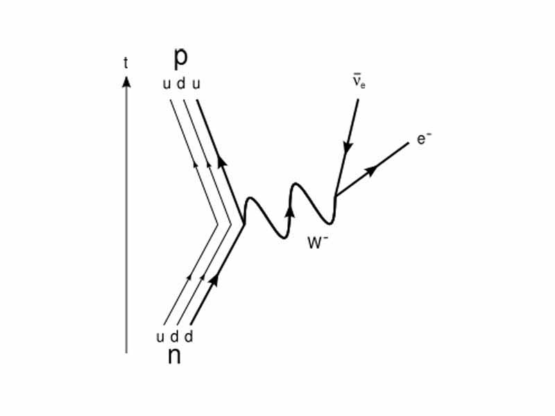 A Feynman diagram for beta decay. The straight lines in the diagrams represent fermions, while the wavy line represents virtual bosons.