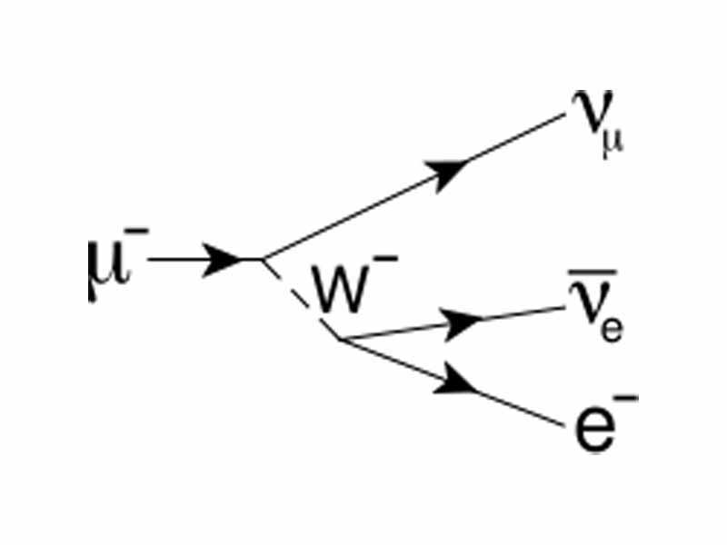 Feynman diagram of muon to electron decay.