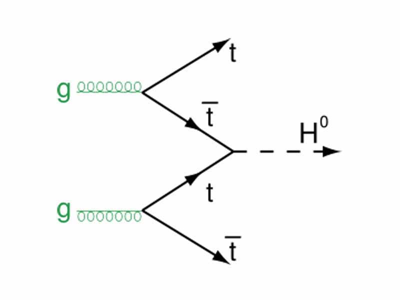 A Feynman diagram of one way the Higgs boson may be produced at the LHC. Here, two gluons decay into a top/anti-top pair which then combine to make a neutral Higgs.