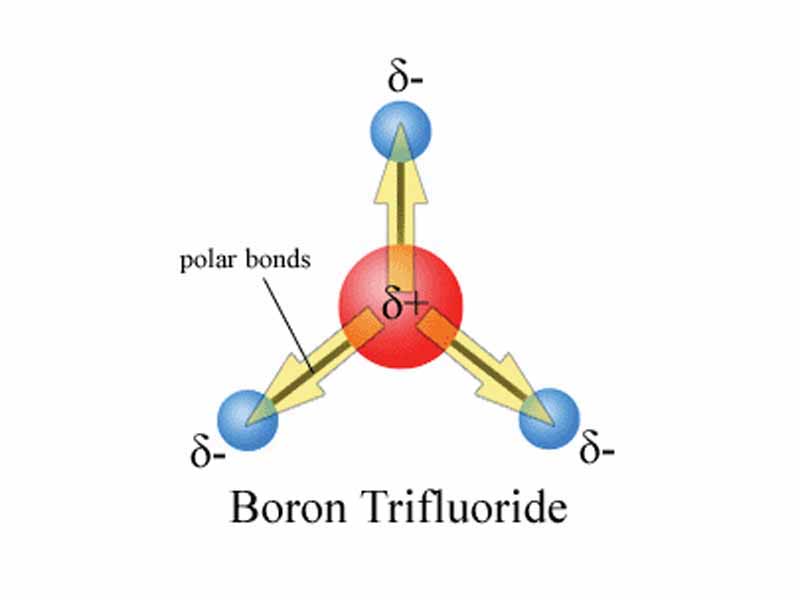 Diagram showing the net effect of symmetrical polar bonds (direction of yellow arrows show the migration of electrons) within boron trifluoride cancelling out to give a net polarity of zero. ?- shows an increase in negative charge and ?+ shows an increase in positive charge.