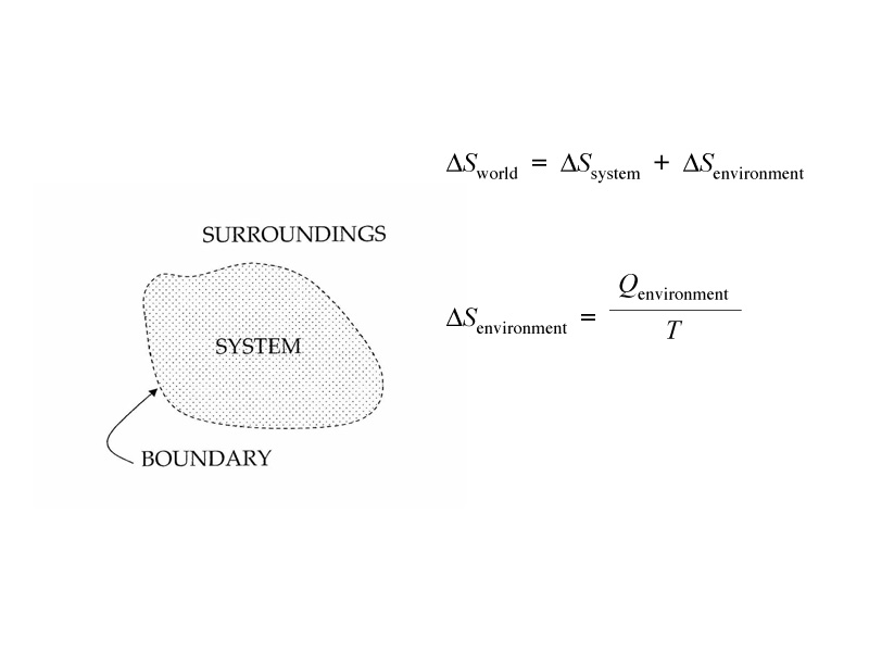 The system within its surroundings.