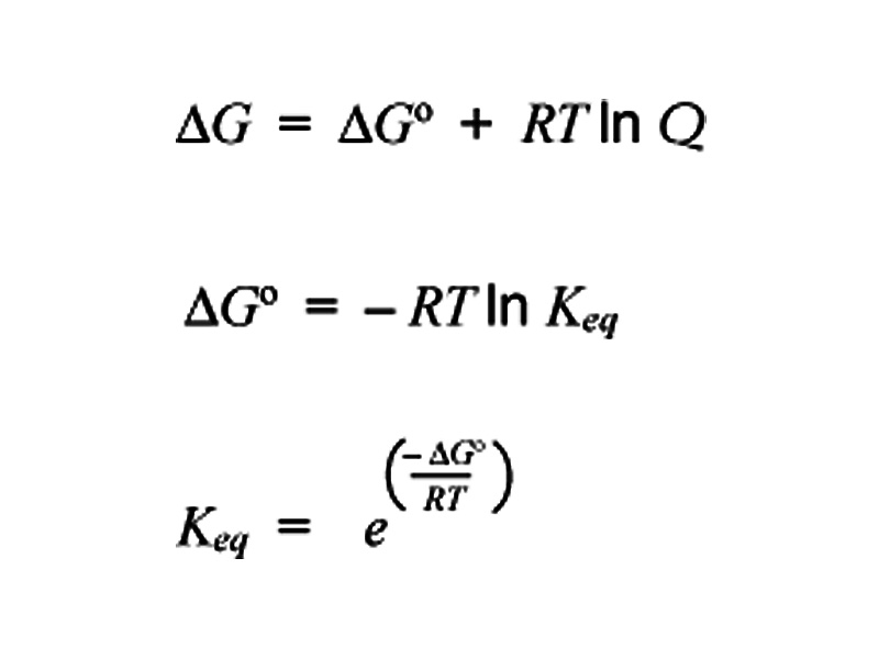 Relationship between free energy change and reaction quotient.