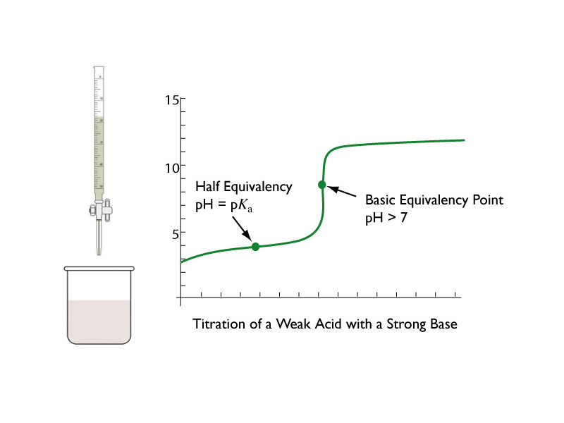 Titration of a weak acid with a strong base.