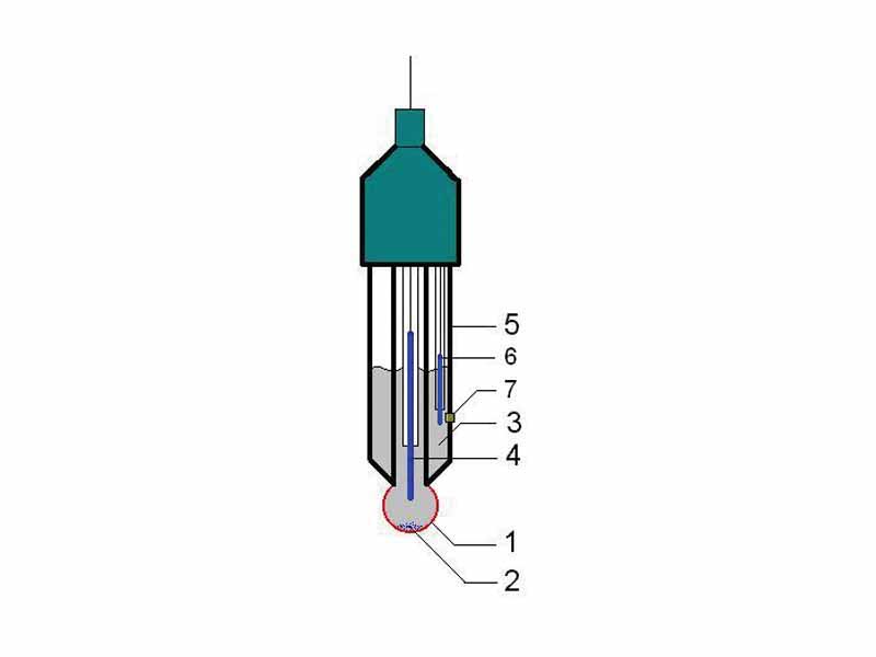 1.  a sensing part of electrode, a bulb made from specific glass  2.  sometimes electrode contain small amount of AgCl precipitate inside the glass electrode  3.  internal solution, usually 0.1M HCl for pH electrodes or 0.1M MeCl for pMe electrodes  4.  internal electrode, usually silver chloride electrode or calomel electrode  5.  body of electrode, made from non-conductive glass or plastics.  6.  reference electrode, usually the same type as 4  7.  junction with studied solution, usually made from ceramics or capillary with asbestos or quartz fiber.    