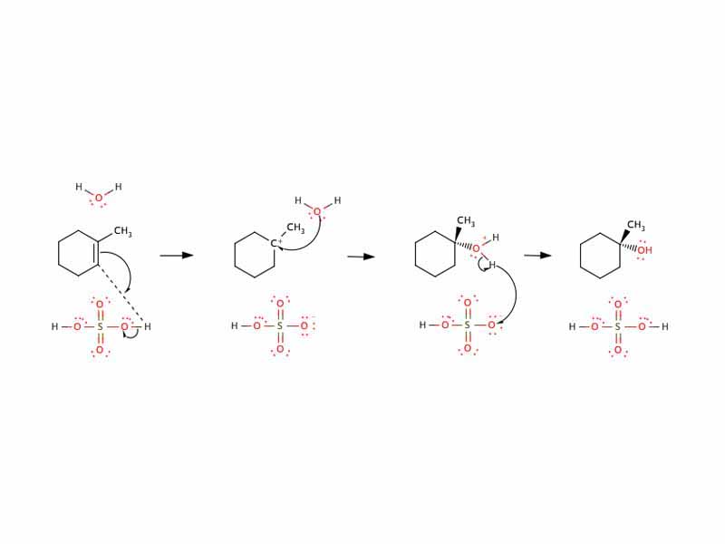 Hydration of 1-methylcyclohexene to 1-methylcyclohexanol using sulfuric acid.