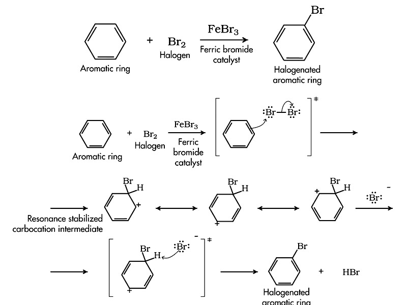 Electrophilic Aromatic Substitution with Halogen