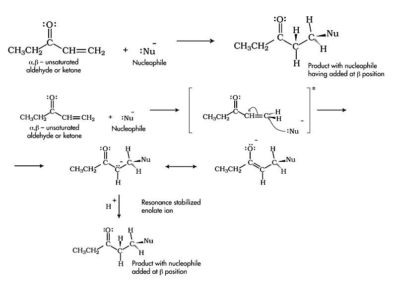 Conjugate Nucleophilic Addition
 