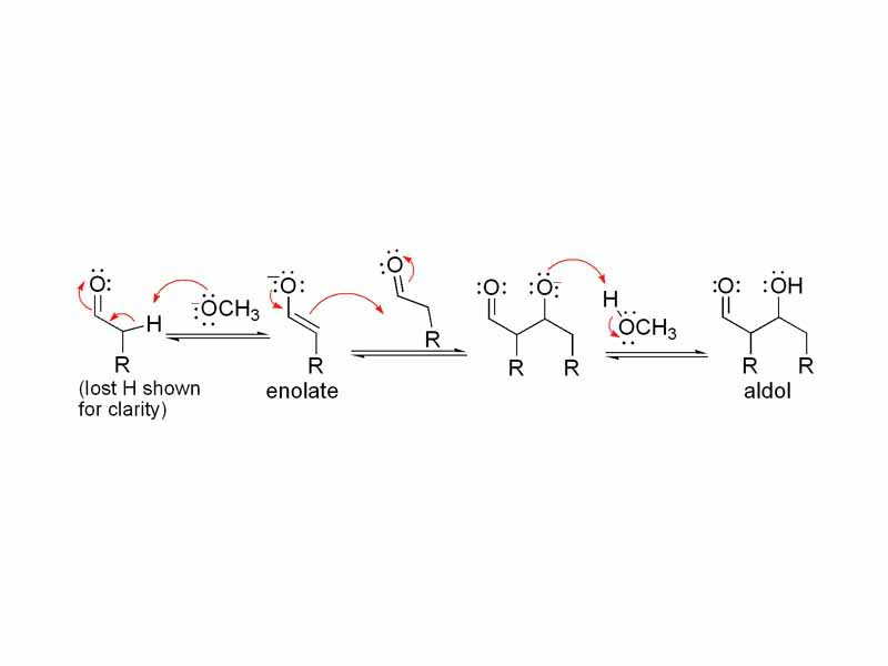 Base catalyzed aldol mechanism