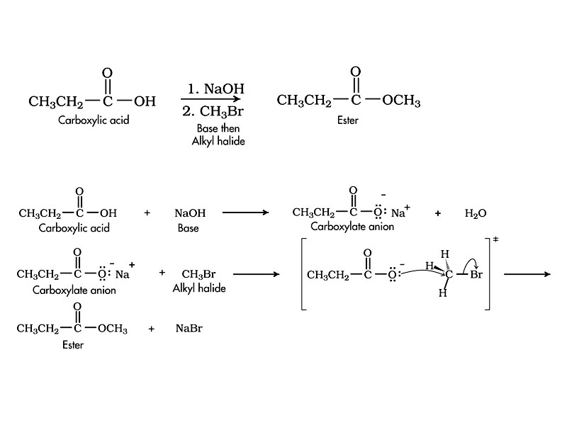 Use of Carboxylate Anion Nucleophile to form Esters
 