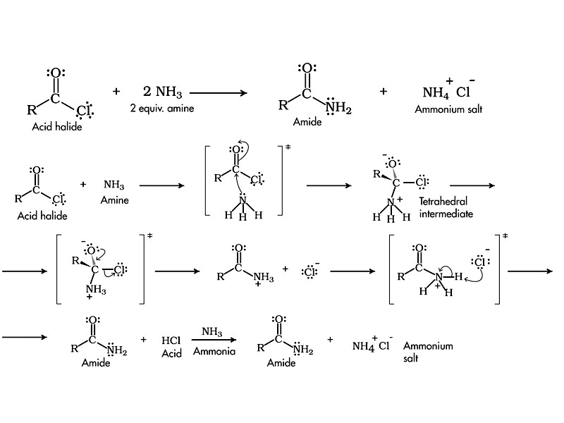 Reaction of amine with acid halides.