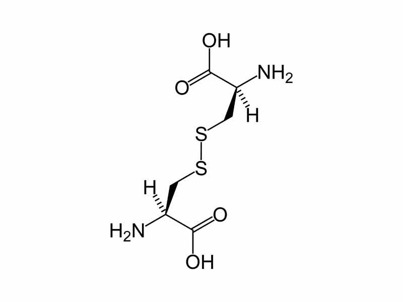 Cystine, showing disulfide bond