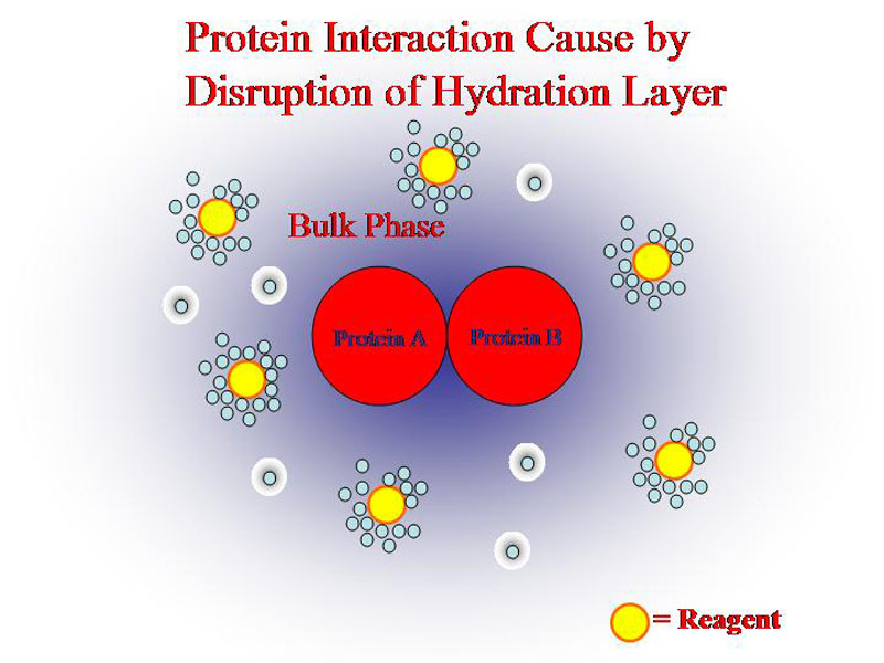 The purpose of the added reagents in protein precipitation is to reduce the hydration layer.