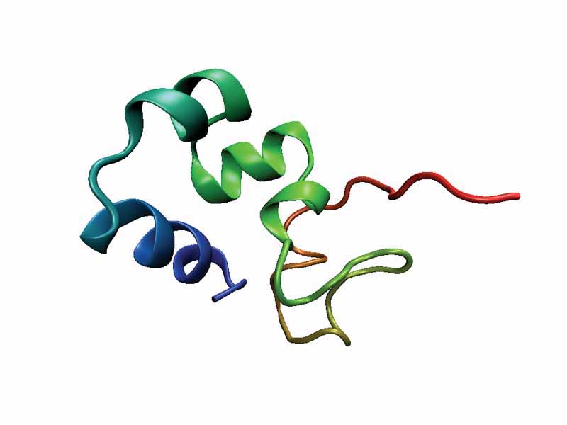An example of the three-helix bundle fold, the headpiece domain from the protein villin as expressed in chickens (PDB ID 1QQV).
