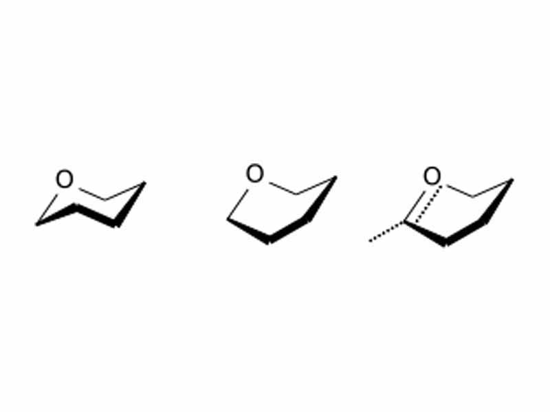 Substrate, bound substrate, and transition state conformations of lysozyme.   The substrate, on binding, is distorted from the typical 'chair' hexose ring into the 'sofa' conformation, which is similar in shape to the transition state.