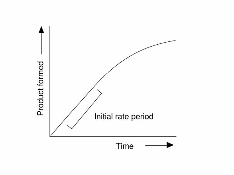 Progress curve for an enzyme reaction. The slope in the initial rate period represents the initial rate of reaction v. Equations such as the Michaelis-Menten equation describe how this slope varies with the substrate and enzyme concentrations.