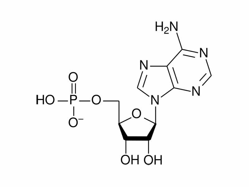 Adenosine monophosphate chemical structure