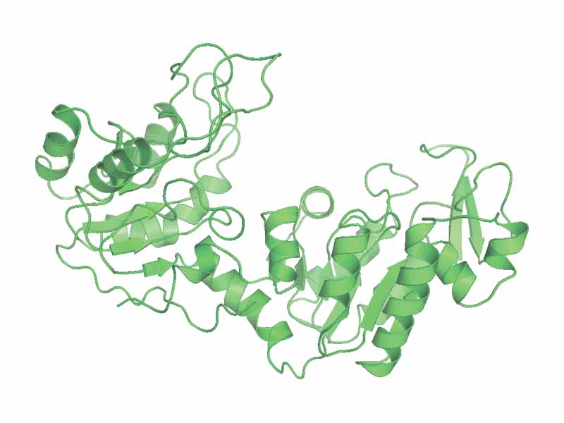 Phosphoglycerate kinase