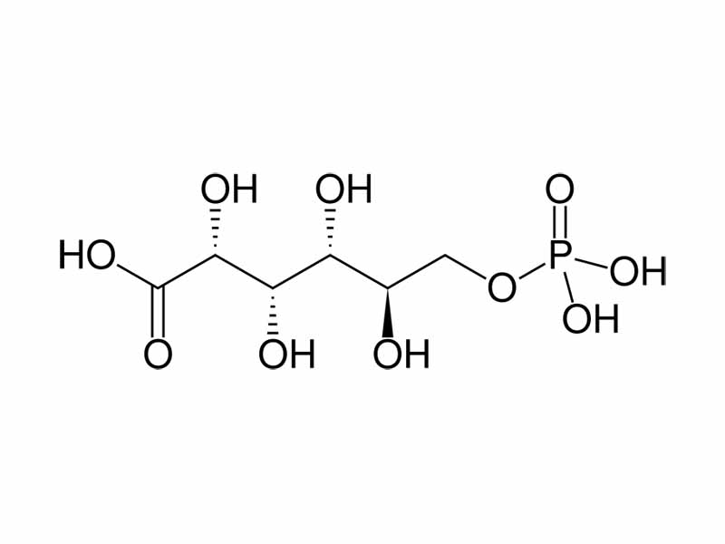 6-Phosphogluconate