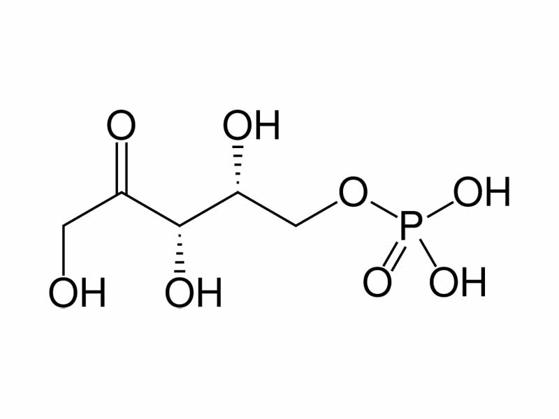 Xylulose 5-phosphate
