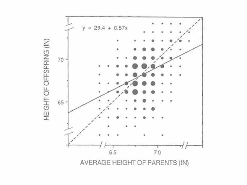 Sir Francis Galton's (1889) data showing the relationship between offsping height (928 individuals) as a function of mean parent height (205 sets of parents).