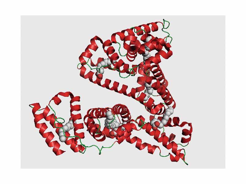 The structure of human serum albumin complexed with 6 palmitic acid molecules