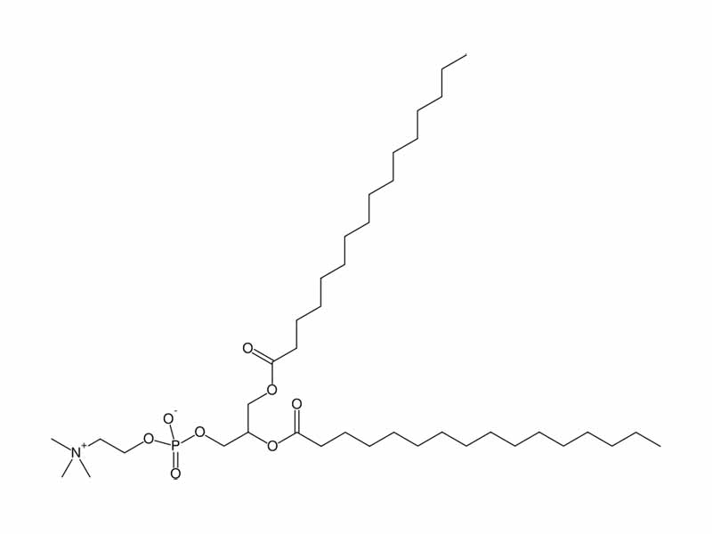 Dipalmitoylphosphatidylcholine (DPPC) is a phospholipid and the major constituent of pulmonary surfactant.