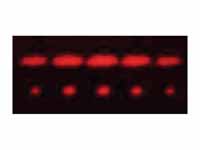 2-slit and 5-slit diffraction of red ...
