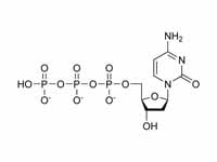 Deoxycytidine triphosphate chemical s...