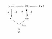 Kinetic scheme for irreversible inhib...