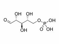 Ribose 5-phosphate